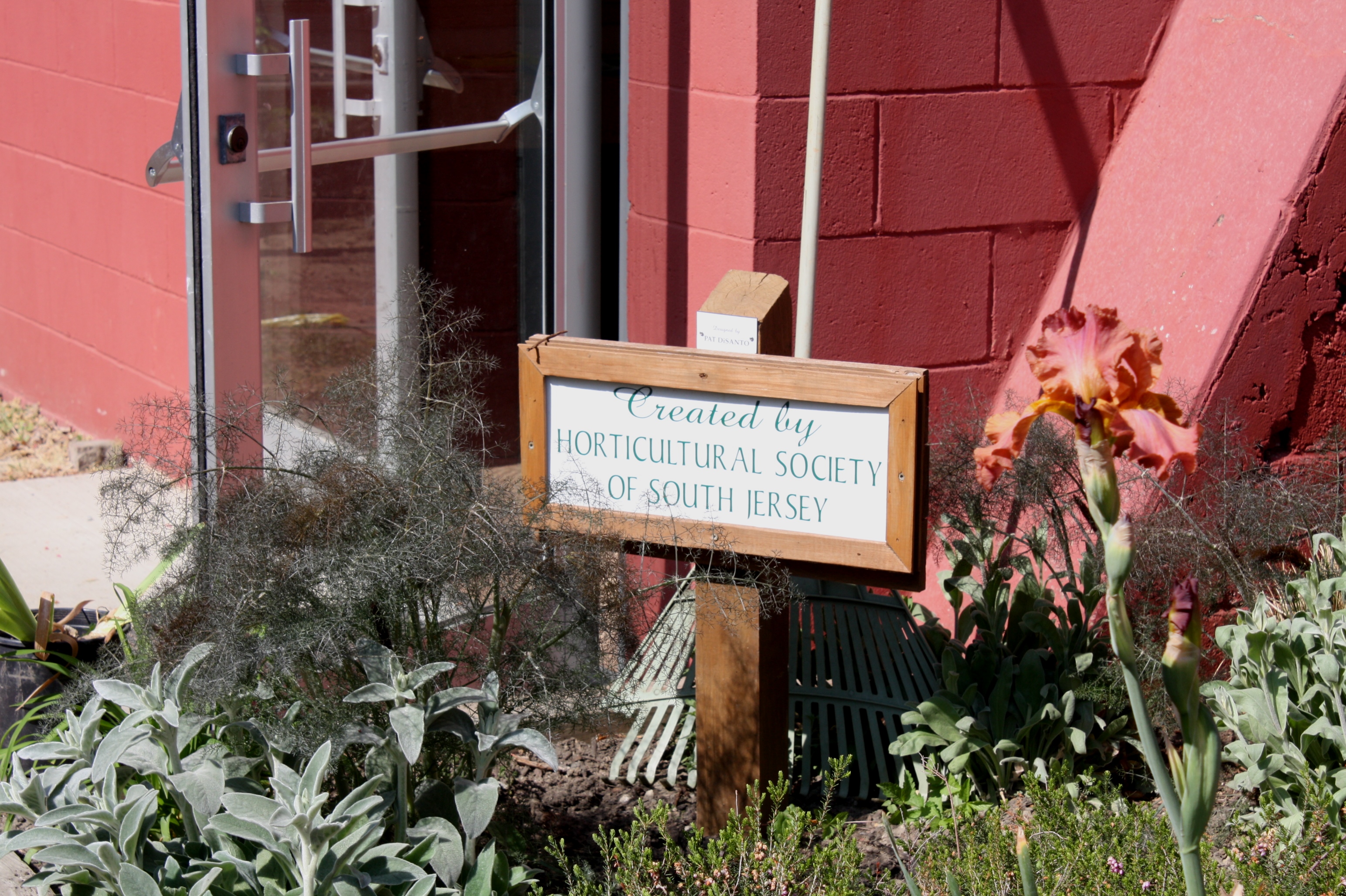 Green Hands volunteer clean-up 11